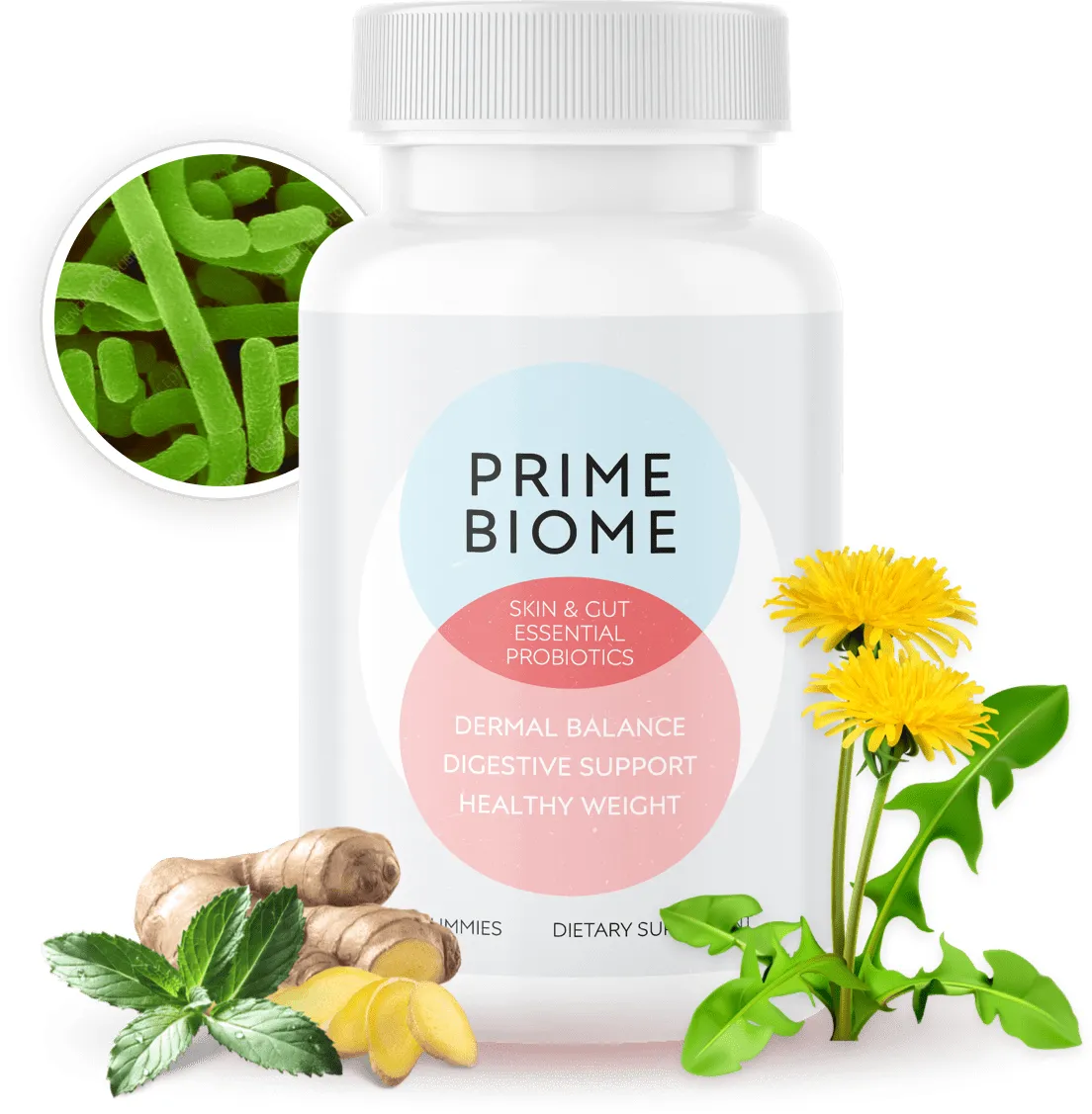 PrimeBiome official website
