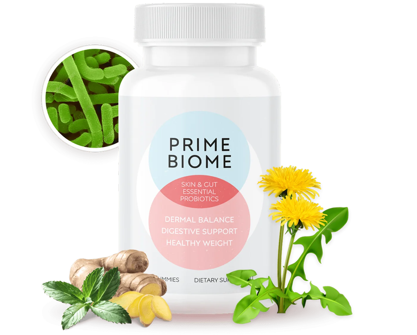 PrimeBiome official website