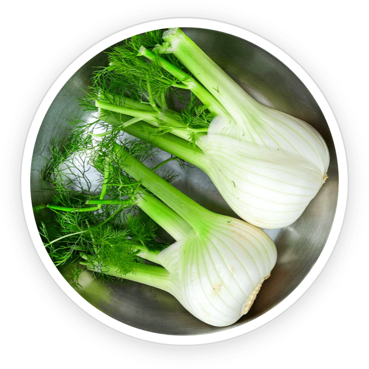 PrimeBiome is made of Fennel
