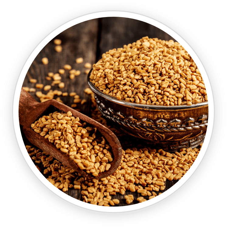 PrimeBiome is made of Fenugreek