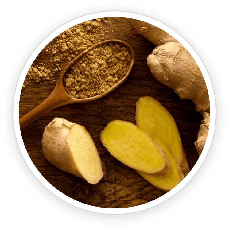 PrimeBiome is made of Organic Ceylon Ginger